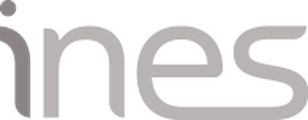Inés Ingenieros