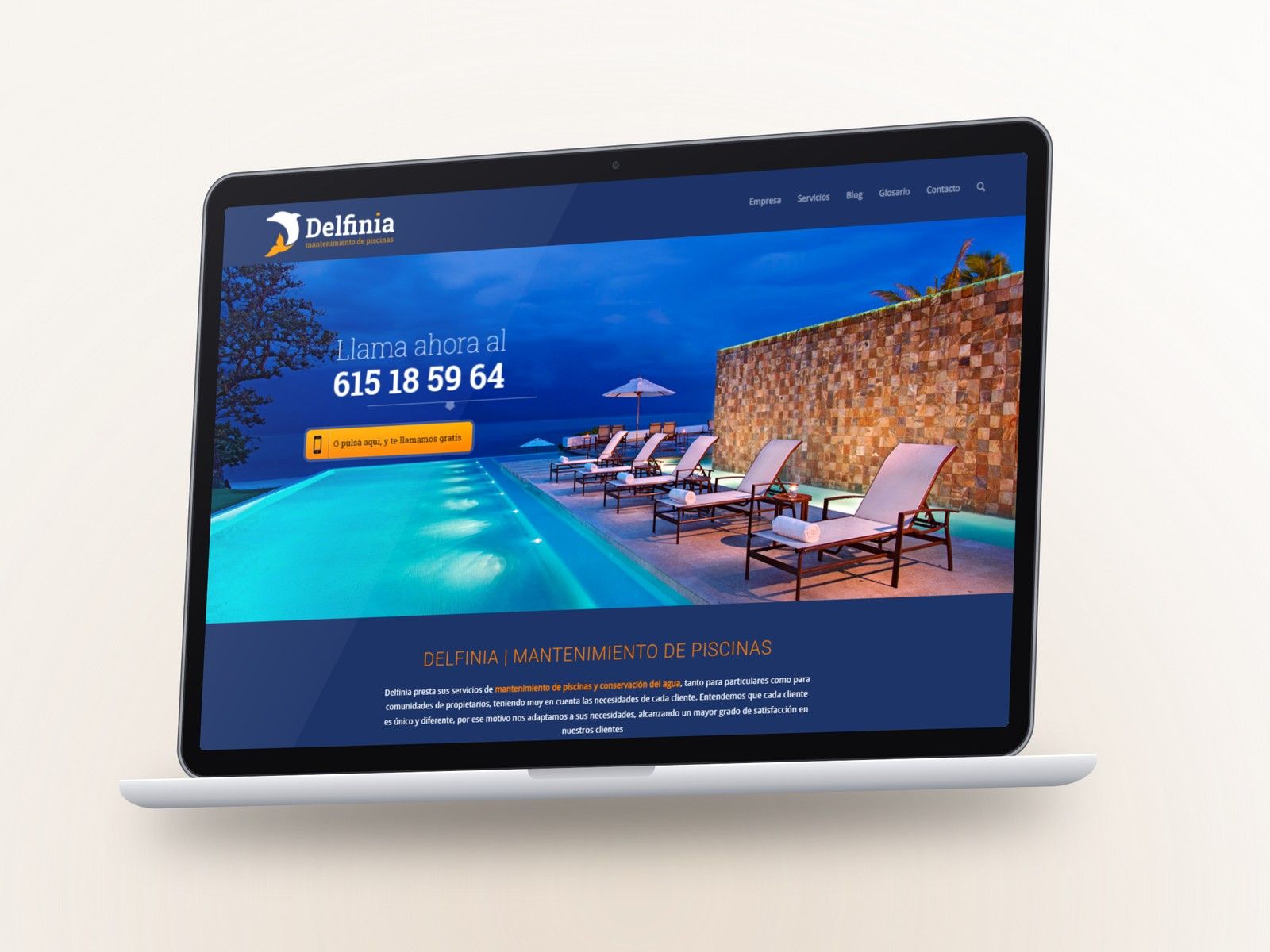 Delfinia Piscinas: Imagen de marca