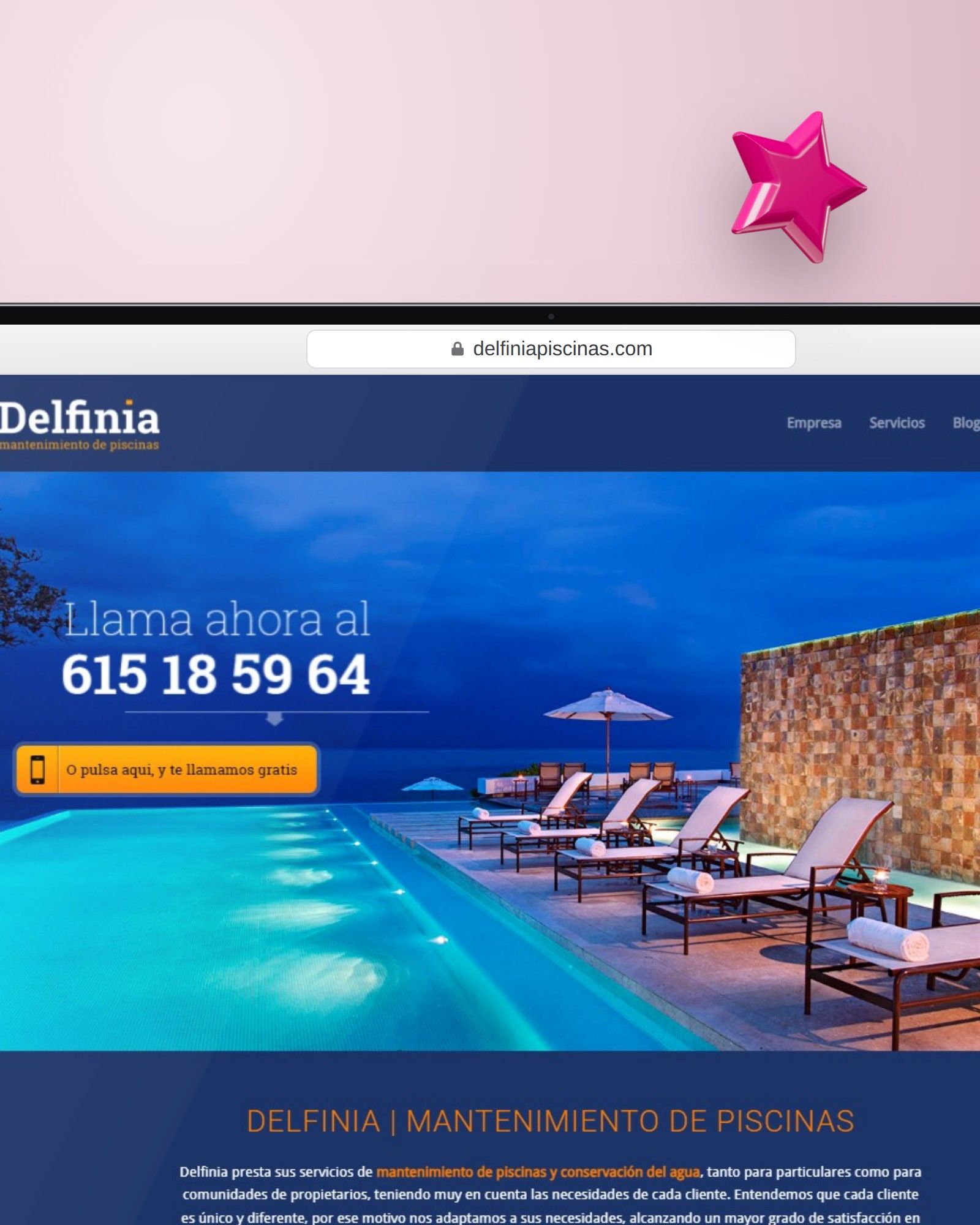 Delfinia Piscinas: Imagen de marca