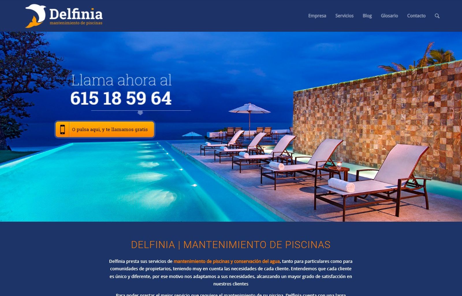 Web de Delfinia Piscinas en el ordenador