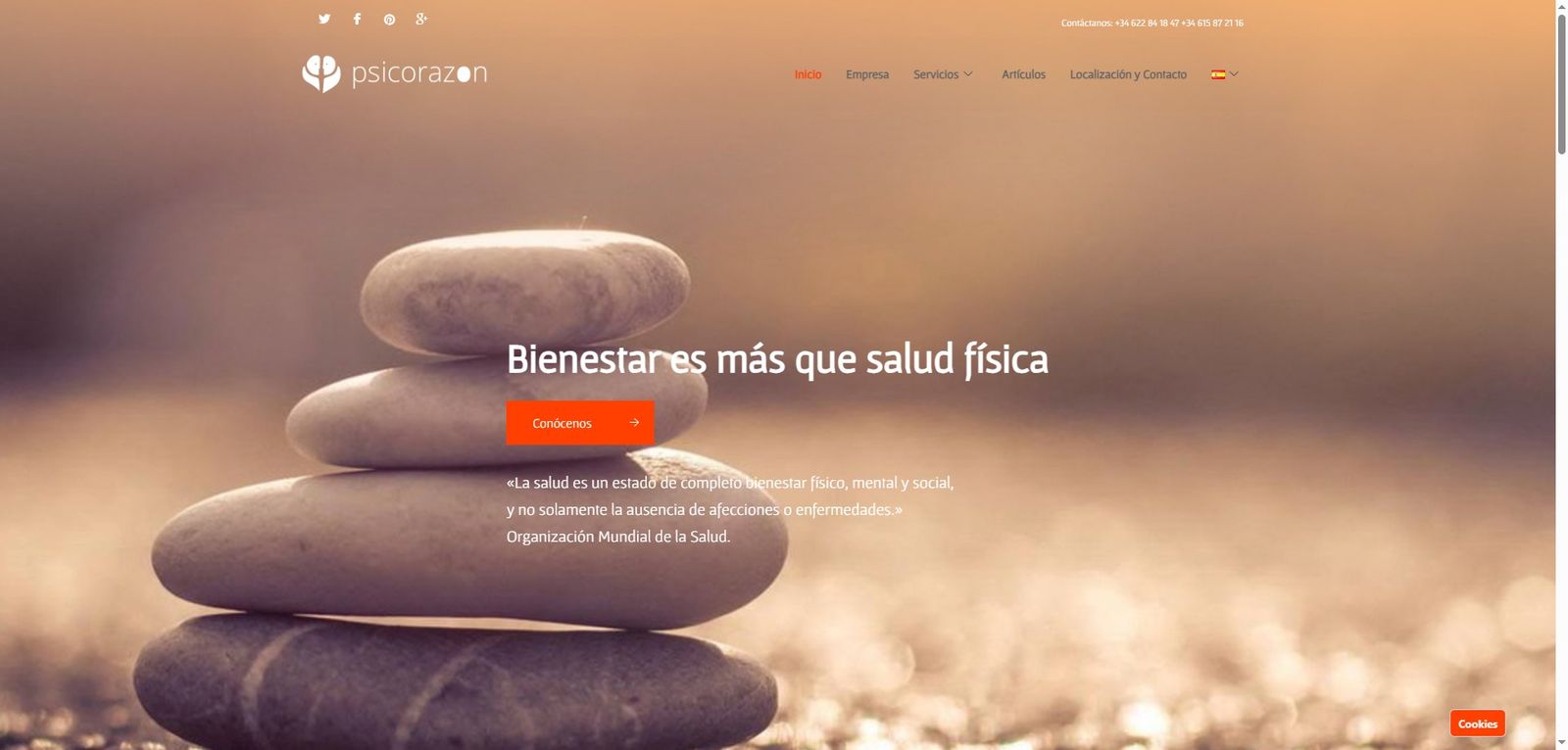 Web de Psicorazon en el ordenador